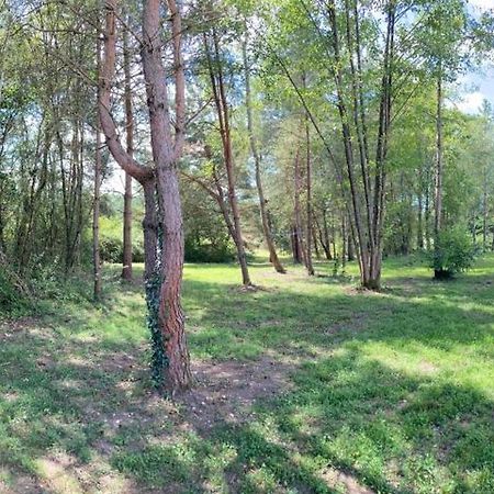 Woody Lodge ซาลบรีส์ ภายนอก รูปภาพ
